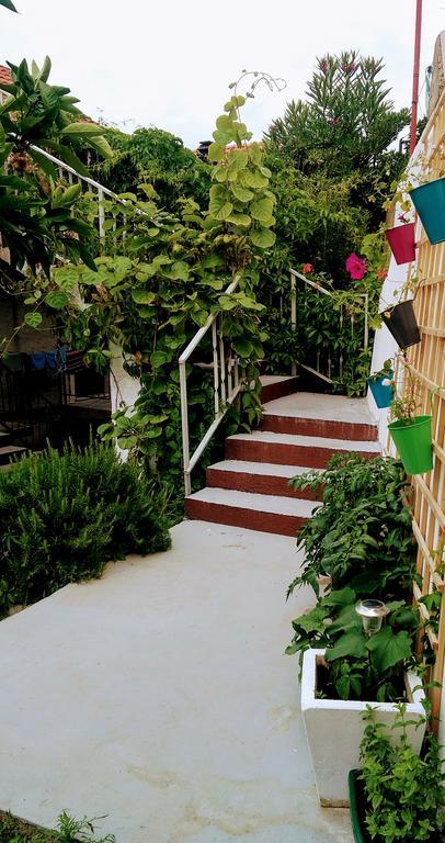 Sofia'S Way Apartments Jelsa (Hvar) Exterior foto