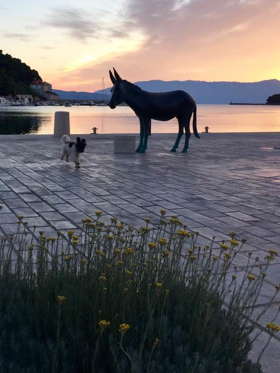 Sofia'S Way Apartments Jelsa (Hvar) Exterior foto